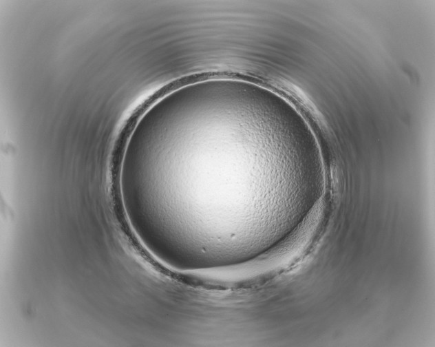 X0000090950780200708091327