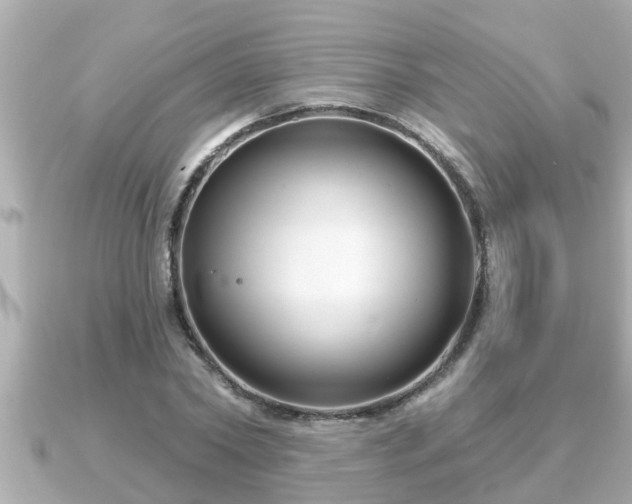 X0000090950782200708091327