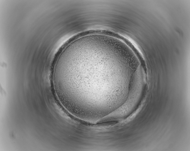 X0000090950783200708091327