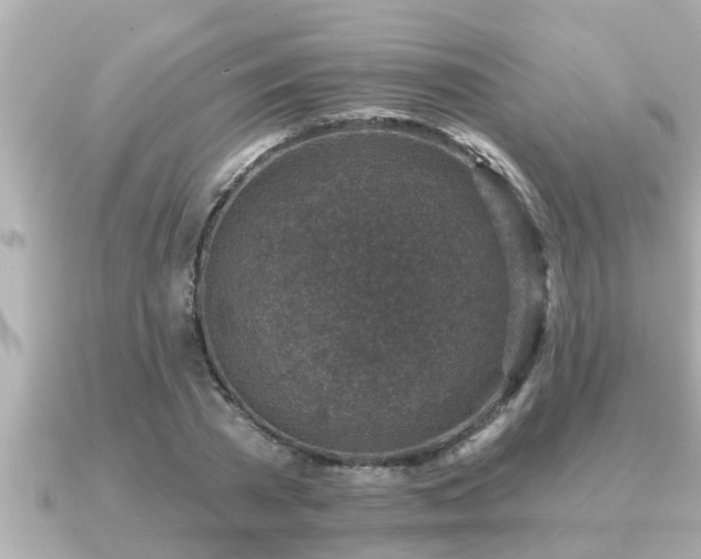 X0000090950785200708091327