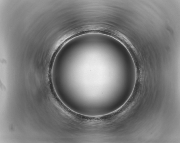 X0000090950786200708091327