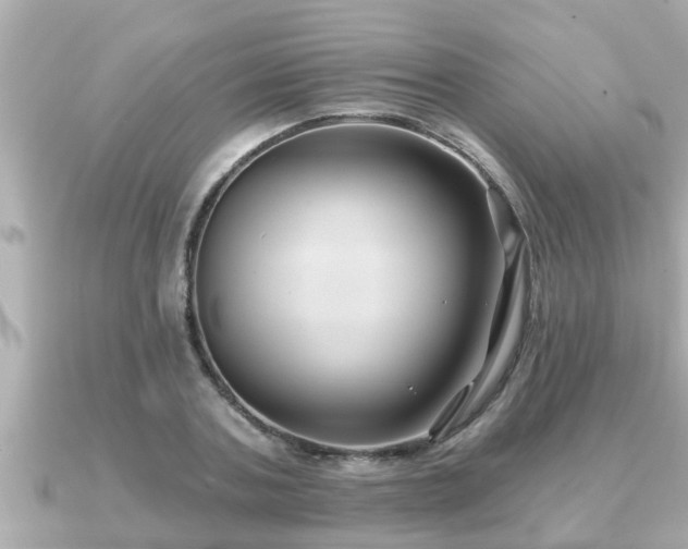 X0000090950787200708091327