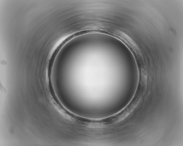 X0000090950788200708091327