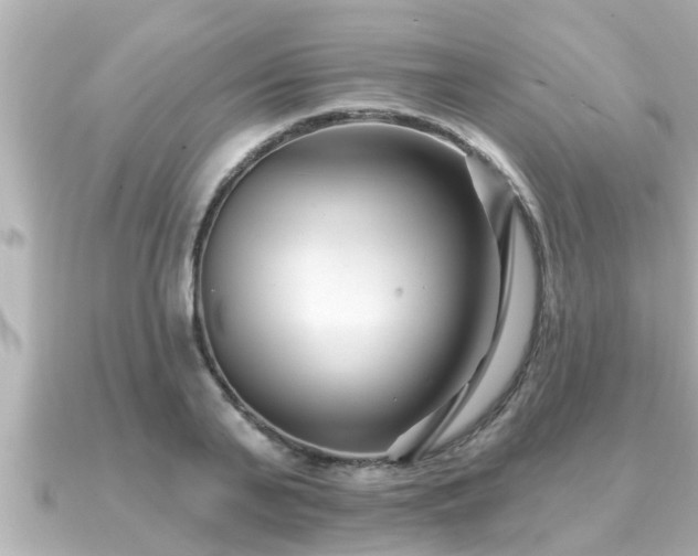 X0000090950791200708091327