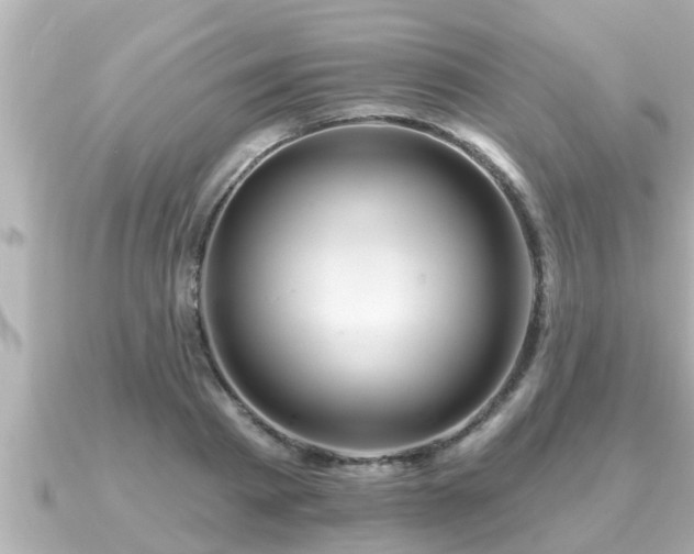 X0000090950793200708091327
