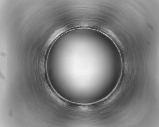 X0000090950794200708091327