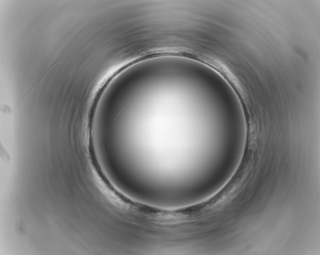 X0000090950795200708091327