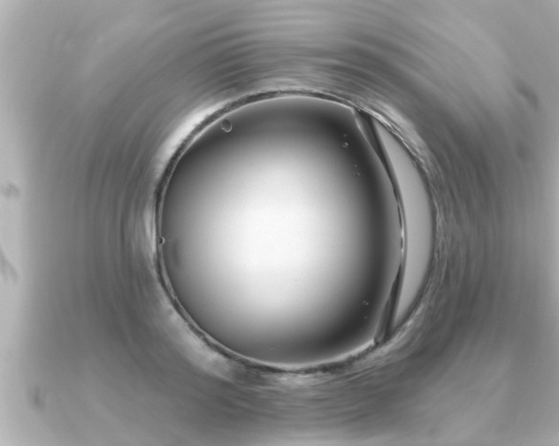 X0000090950796200708091327