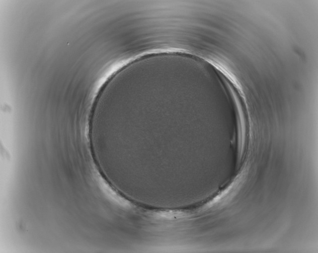 X0000090950797200708091327