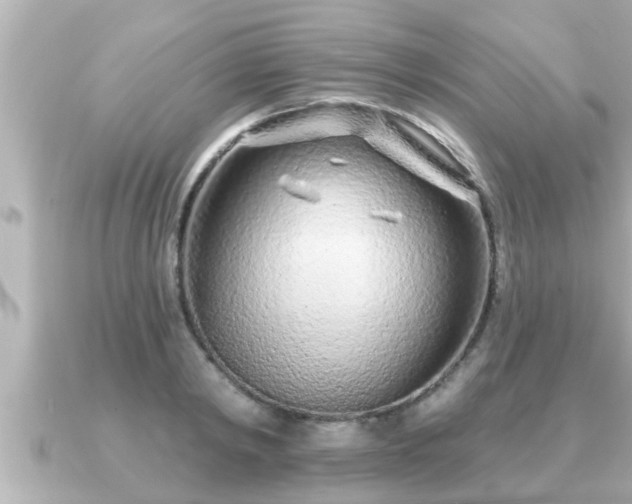 X0000090950798200708091327