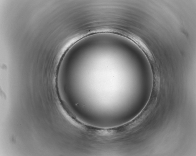 X0000090950805200708091327