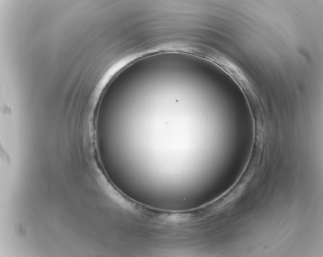 X0000090950808200708091327