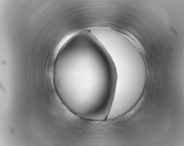 X0000090950812200708091327