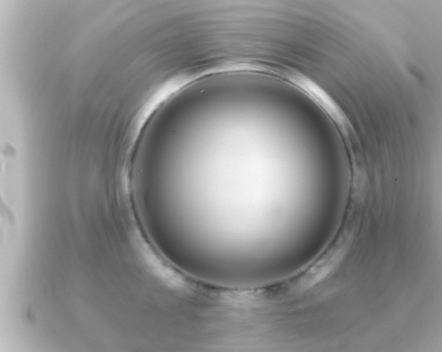 X0000090950813200708091327
