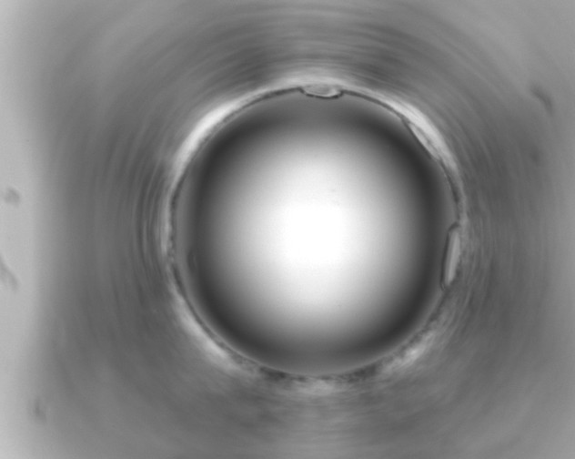 X0000090950815200708091327
