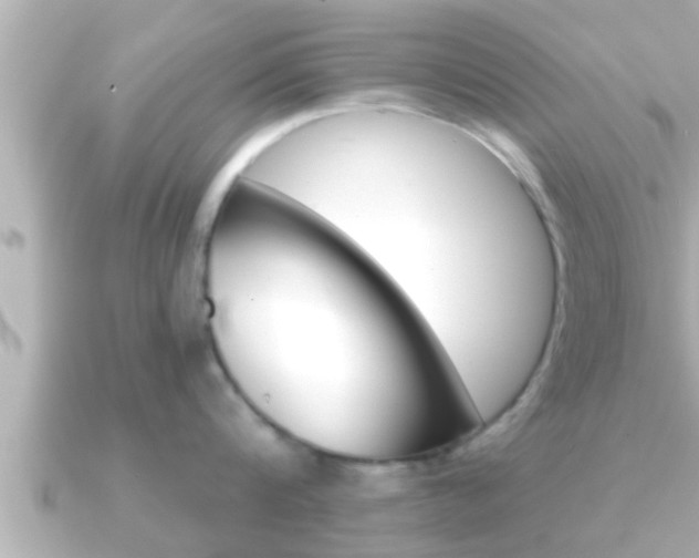 X0000090950816200708091327