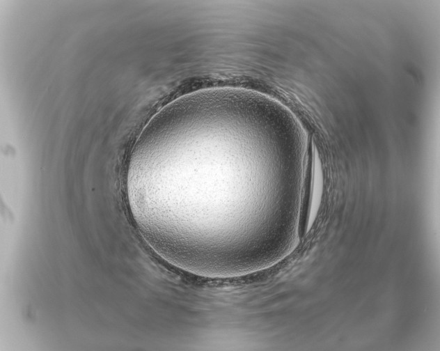X0000090950817200708091326