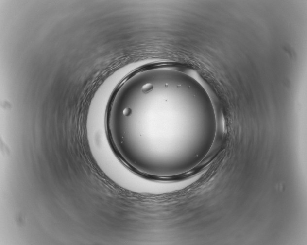 X0000090950818200708091326