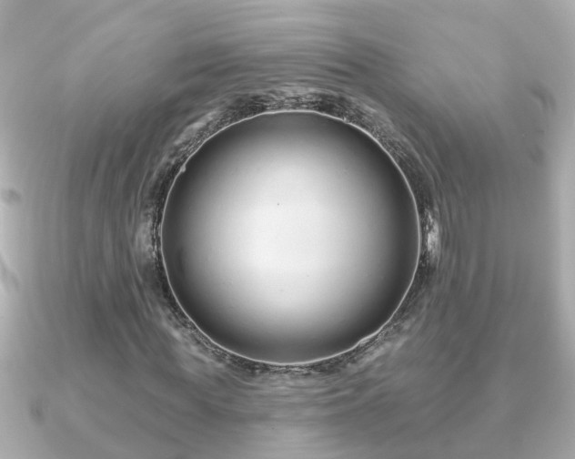 X0000090950819200708091326