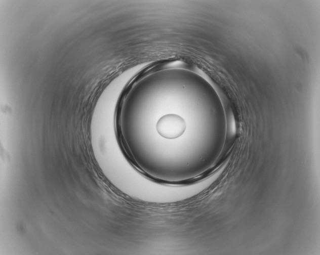 X0000090950820200708091326