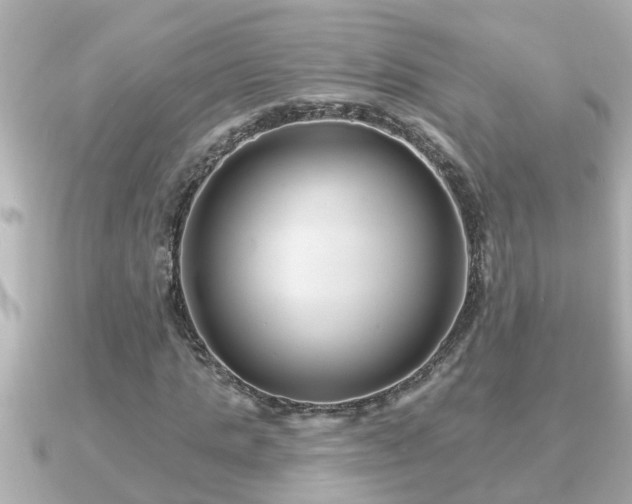 X0000090950821200708091326