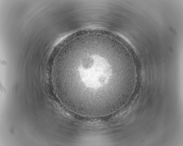 X0000090950823200708091326