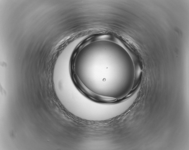 X0000090950824200708091326