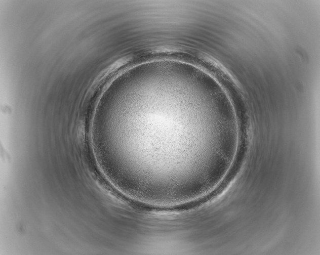 X0000090950825200708091326