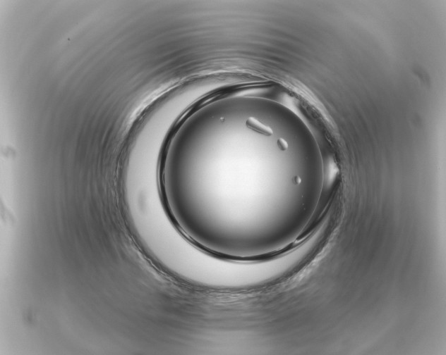 X0000090950826200708091326