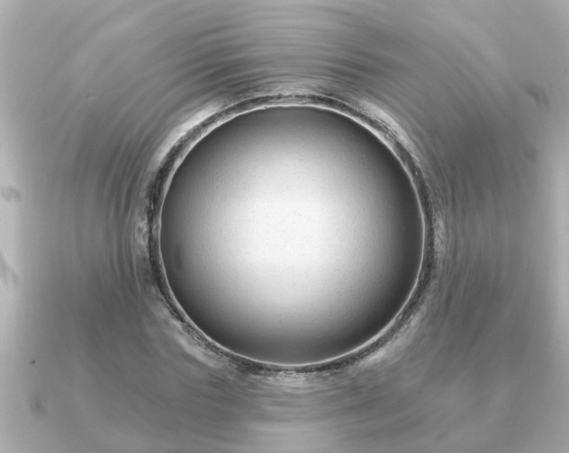 X0000090950827200708091326