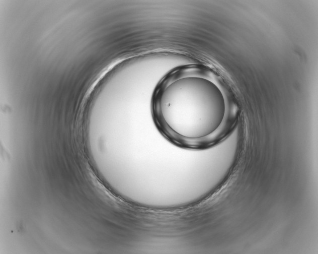X0000090950828200708091327