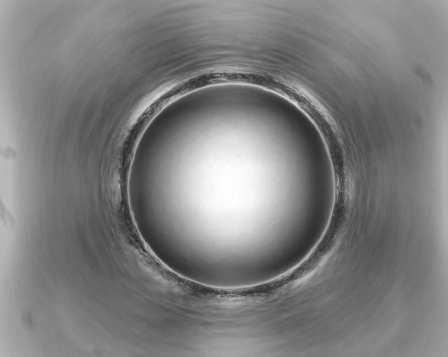 X0000090950829200708091327