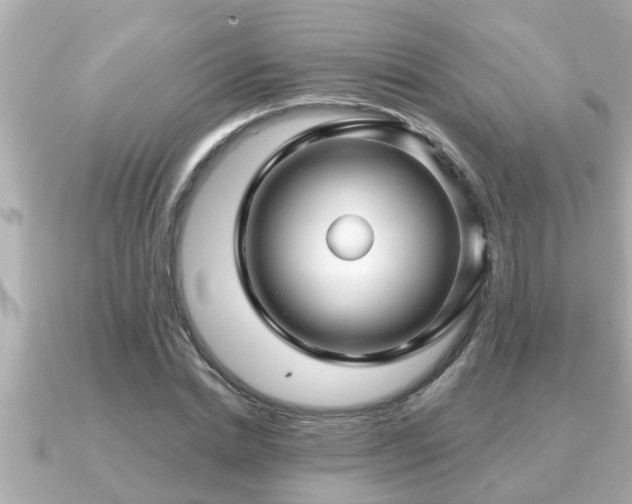 X0000090950830200708091327