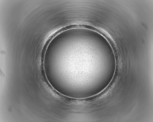 X0000090950831200708091327