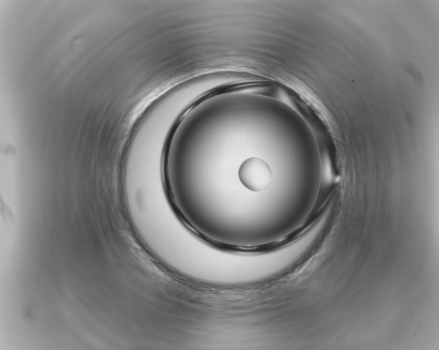 X0000090950834200708091327