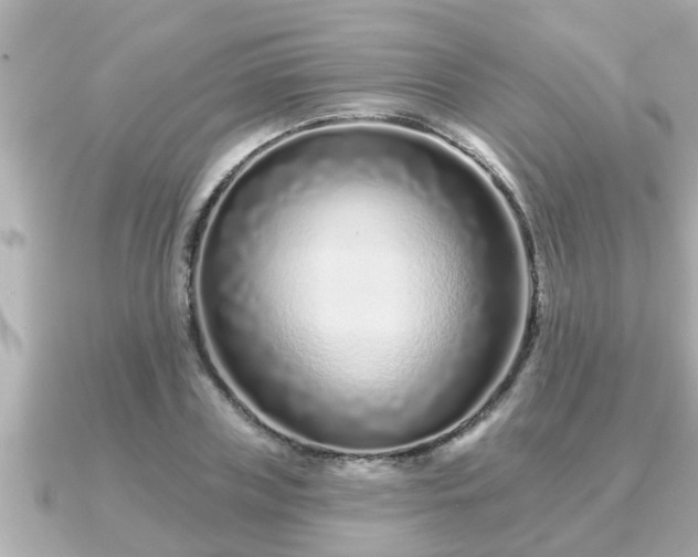 X0000090950835200708091327