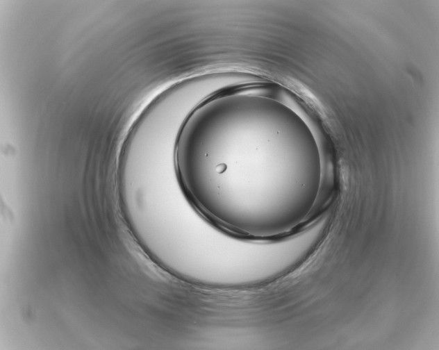 X0000090950836200708091327