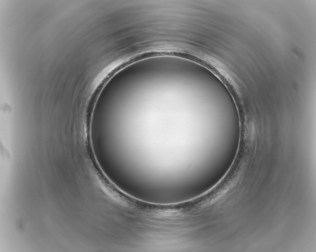 X0000090950837200708091327