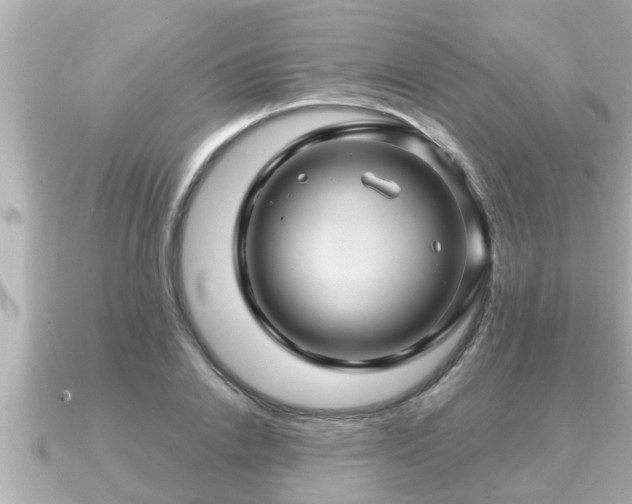 X0000090950838200708091327
