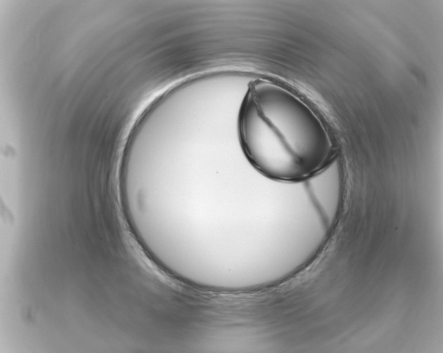X0000090950840200708091327