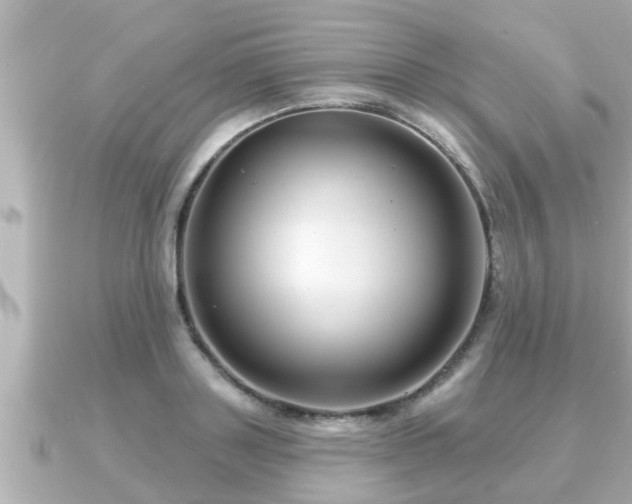 X0000090950843200708091327