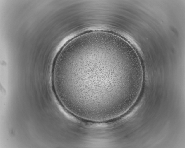 X0000090950845200708091327