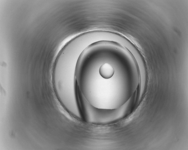 X0000090950846200708091327