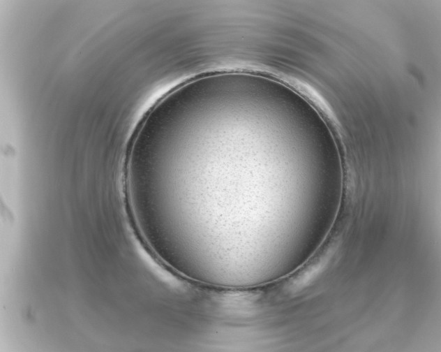 X0000090950847200708091327