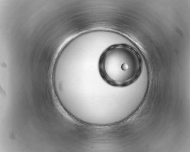 X0000090950848200708091327
