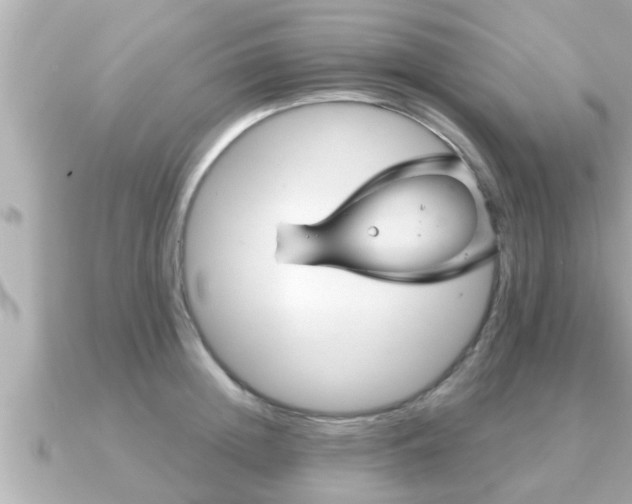 X0000090950852200708091327