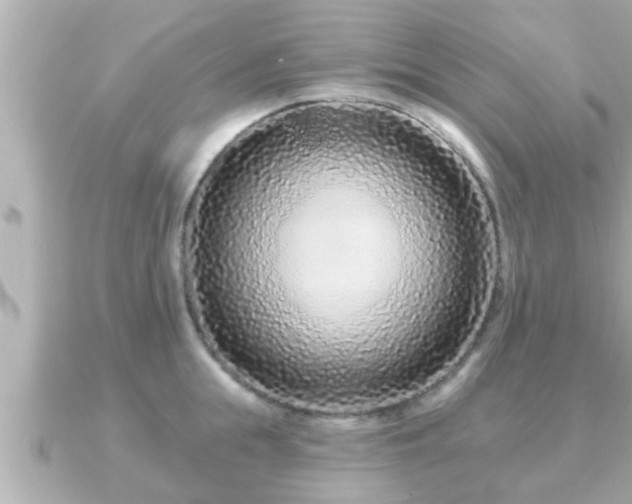 X0000090950855200708091327