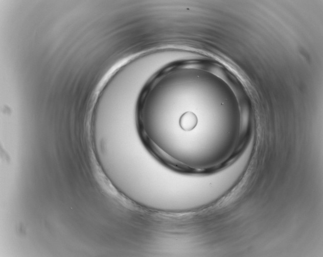 X0000090950856200708091327