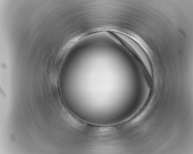 X0000090950857200708091327