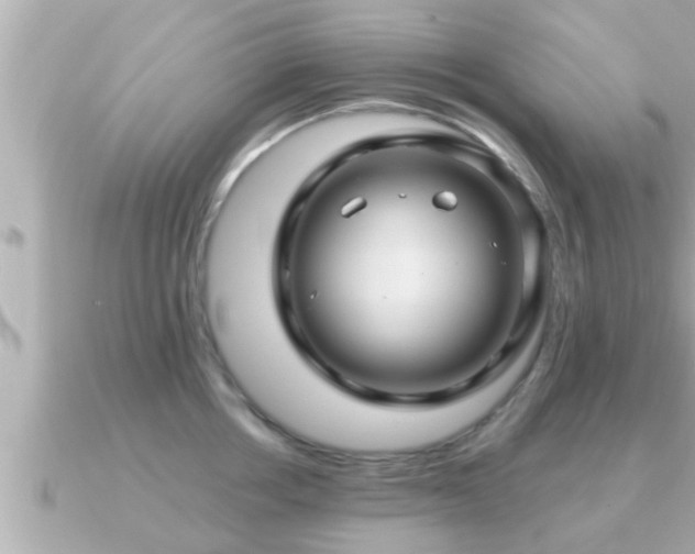 X0000090950858200708091327
